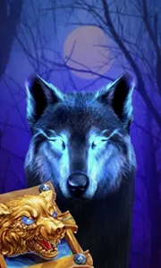 Book Of The Night Wolf